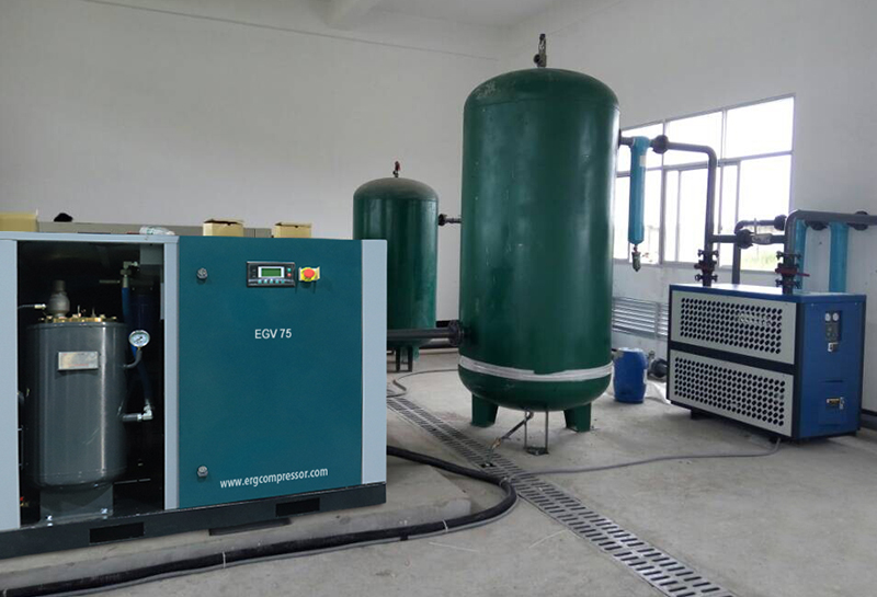 ERG Compressor for Automobile Industry