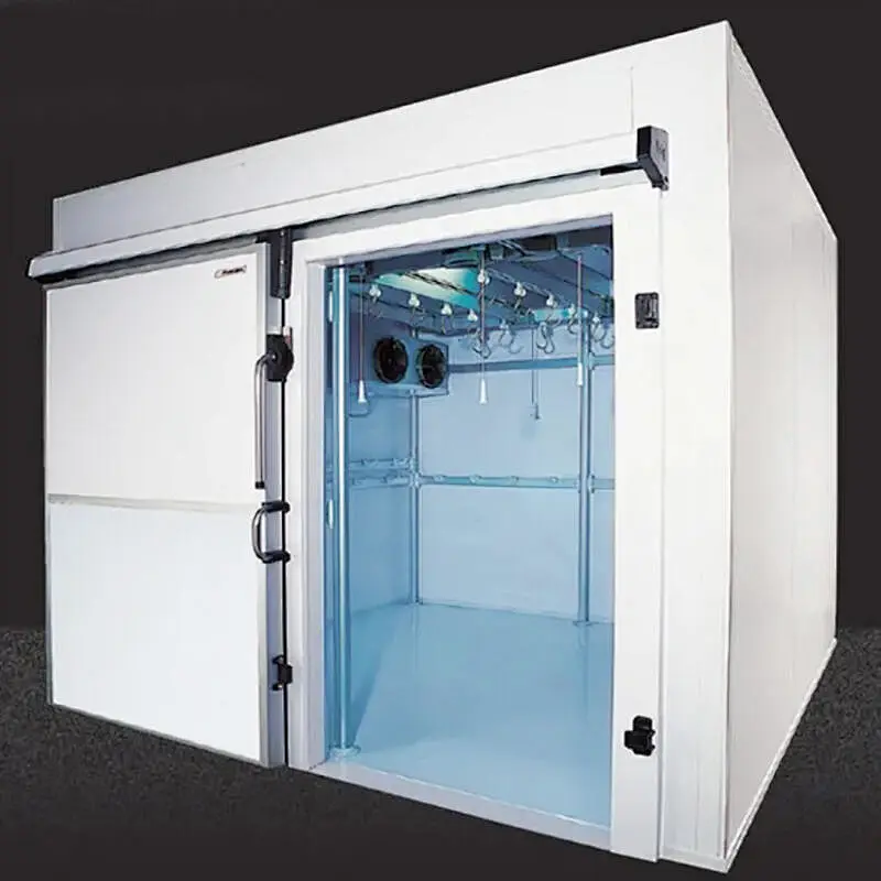 Insulated Doors Cold Room with Energy Saving for Fish Storage
