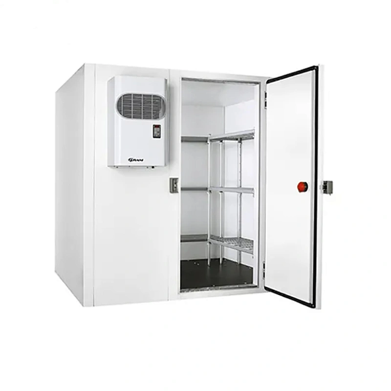 Customized Cold Storage Freezer Room for Vegetables/Fruits/Meat and Seafood Industrial