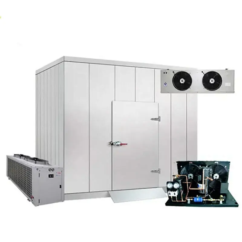 Insulated Doors Cold Room with Energy Saving for Fish Storage