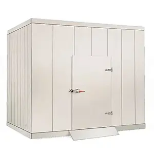 Puertas Aisladas Cámara Frigorífica con Ahorro de Energía para Almacenamiento de Pescado