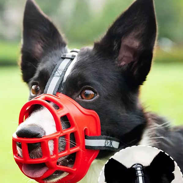 Dog muzzle
