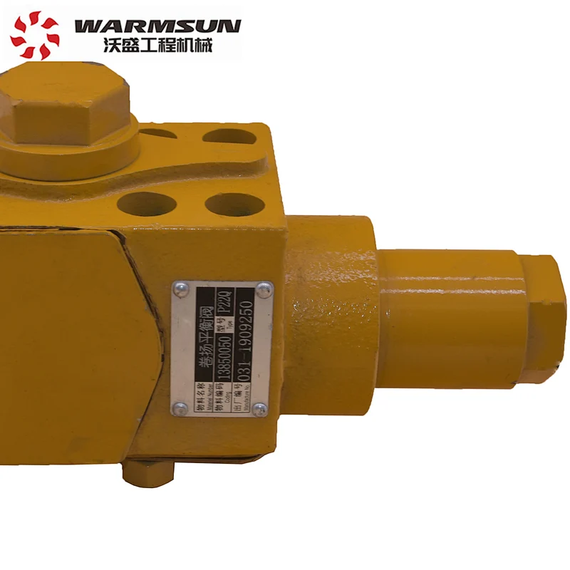 Truck Crane Parts 13850050 Hoist Balanced Valve P22Q031 For SANY Truck Crane