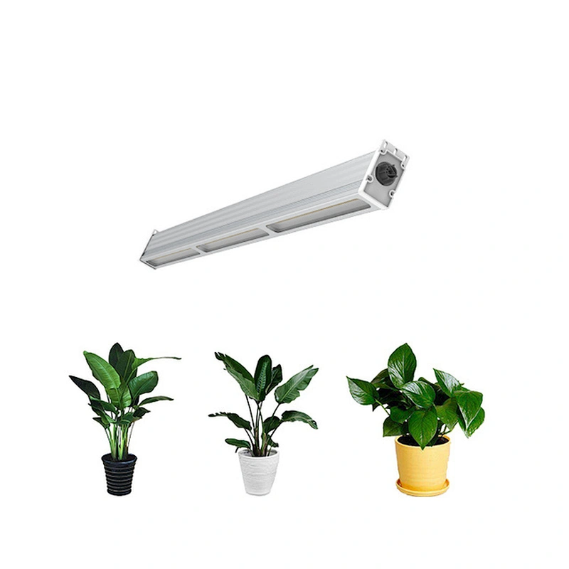 china for flowering plant growth1000w  waterproof full spectrum led grow lights