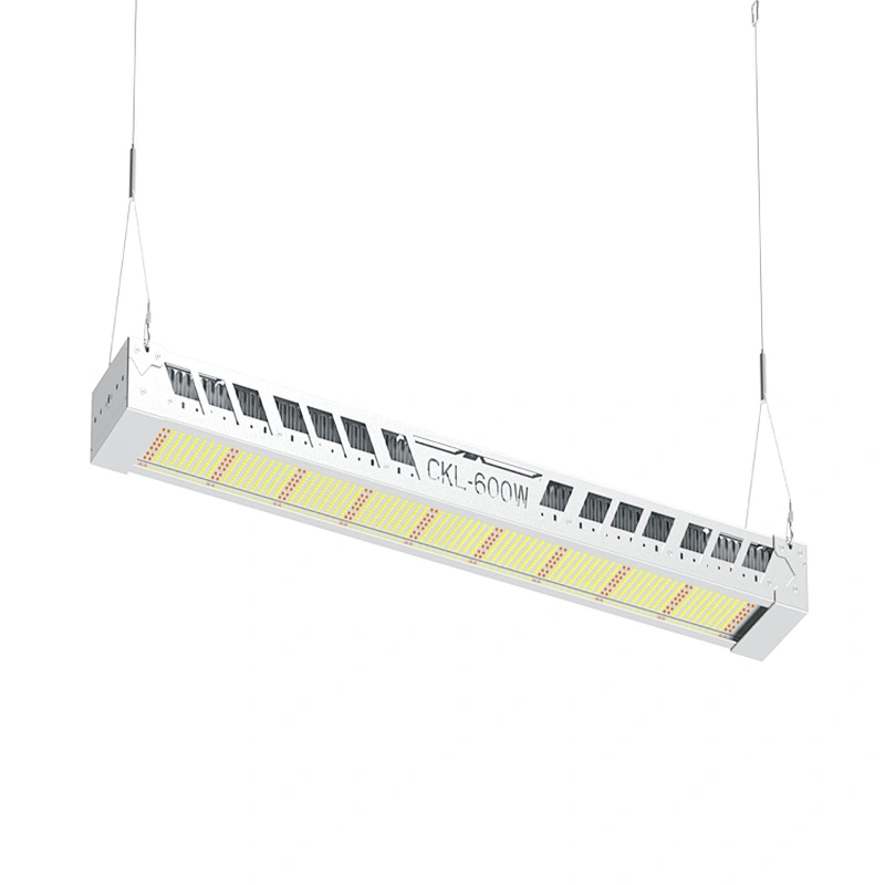 China Best Seller High Quality Hyadroponic Grow Kit Samsung LM561C LM301B LED Grow Lights for Indoor Plants Full Spectrum