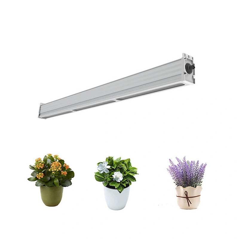 china for flowering plant growth1000w  waterproof full spectrum led grow lights