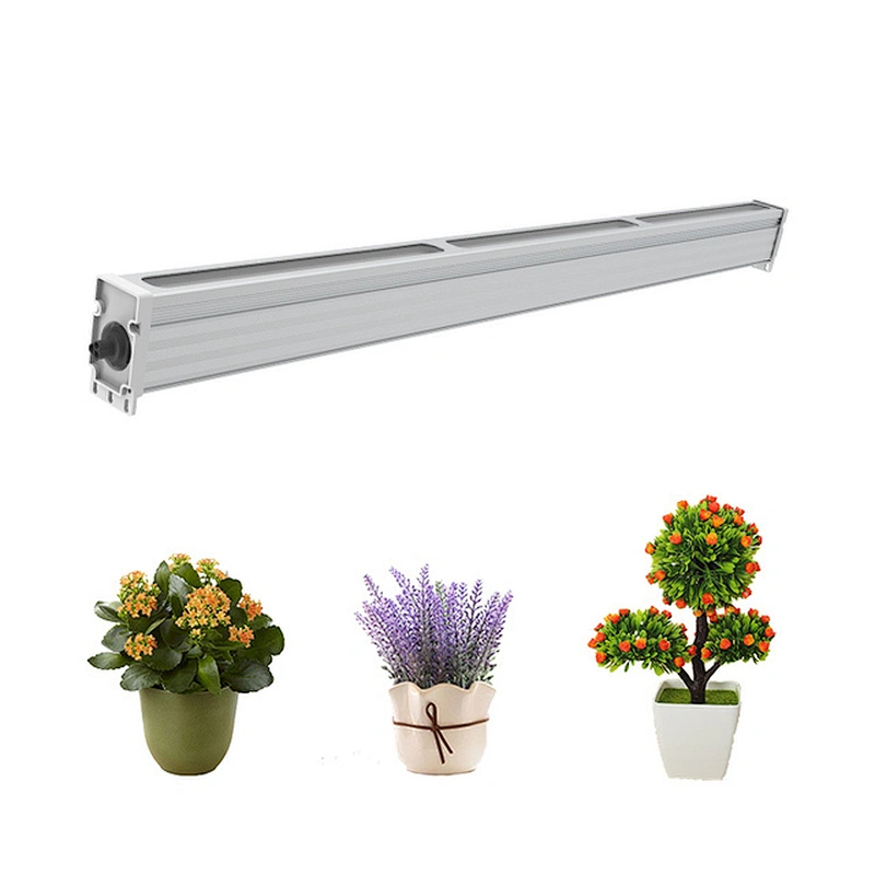 china for flowering plant growth1000w  waterproof full spectrum led grow lights
