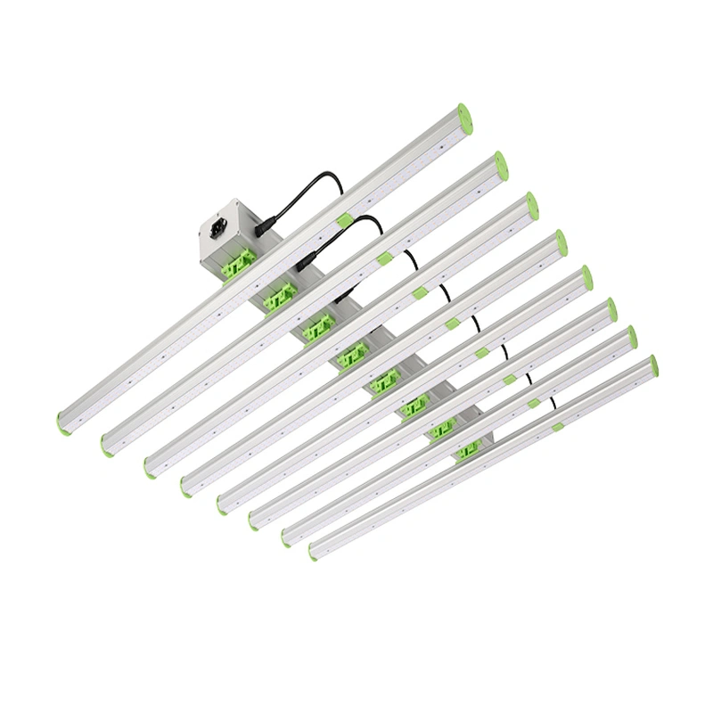 ETL 5 Years Warranty Samsung LM561C 301B 301H LED Grow Light Sample for Indoor Plant 600W 800W 1000W