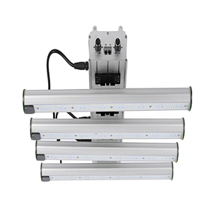 Best China Supplier Samsung LM301 LM561C Vertical Farming LED Grow Light for Indoor Garden