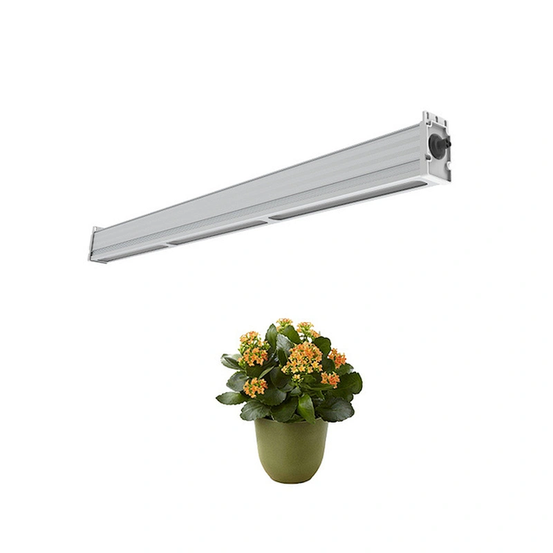china for flowering plant growth1000w  waterproof full spectrum led grow lights