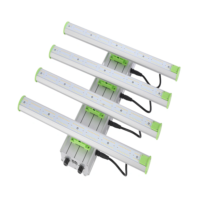 cETL ETL LED Grow Light Plant for Vertical Farming Samgsung Horticulture Lighting for Greenhouse