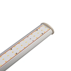5 Years Warrranty Waterproof Intelligent Samsung lm301b ETL CE ROHS LED Grow light