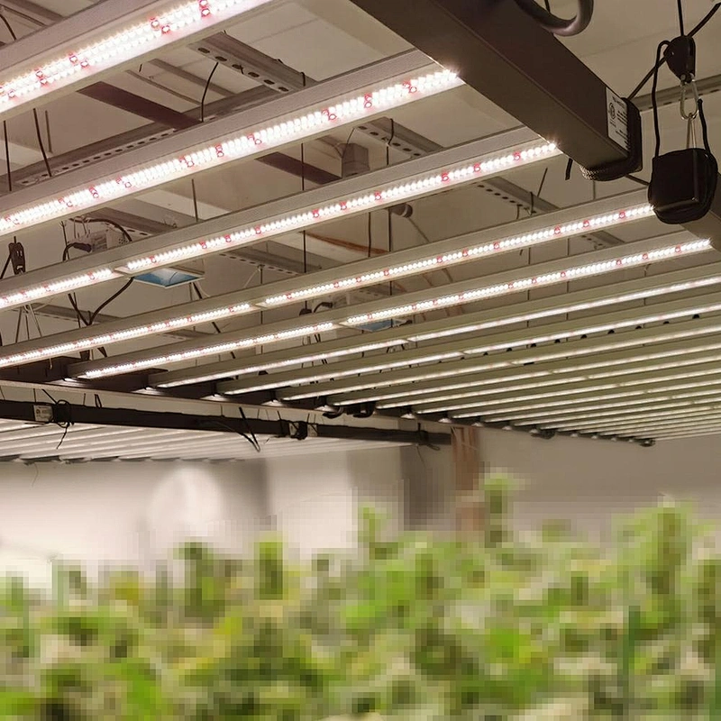 LED Grow Light Hydroponic LED Grow Light Spectrum LED Grow Light Strip