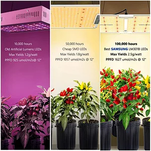 SF-2000 LED Grow Light 2x4 ft Coverage Samsung LM301B MeanWell Driver Dimmable Grow Lights Full Spectrum