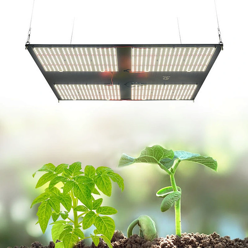 Amazon Top Seller 2021 Meiju 480W FOMEX Board Samsung lm301H 480 660 nm Double Ended Dragon Fruit LED Grow Lights