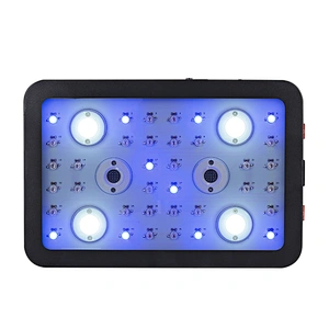 CE ROHS 1200w LED Grow Light Full Spectrum for Greenhouse Indoor Plant Veg and Flower