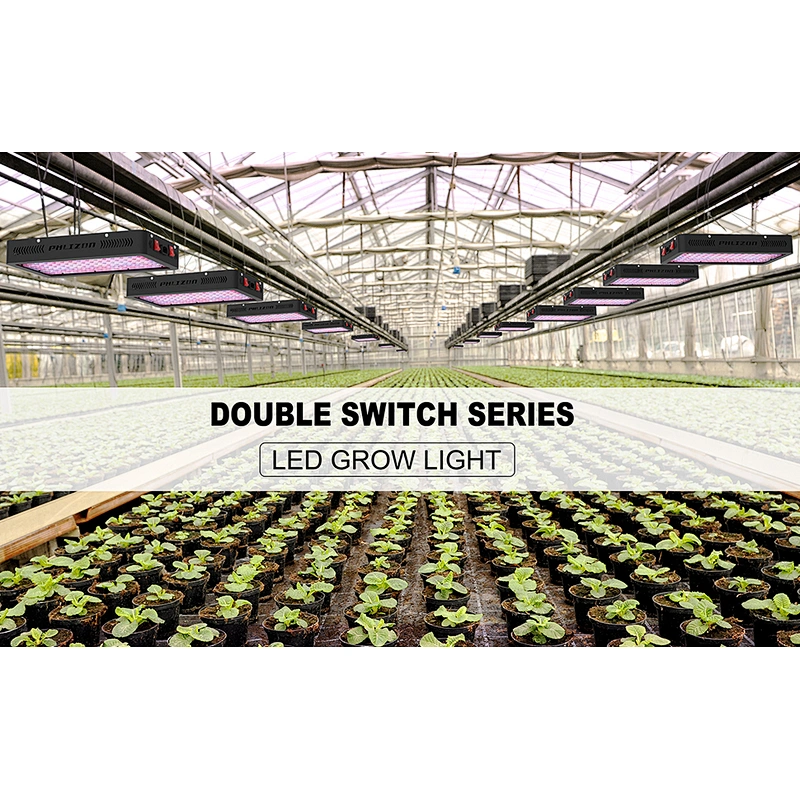 LED Grow Light Hydroponic LED Grow Light Spectrum LED Grow Light Strip