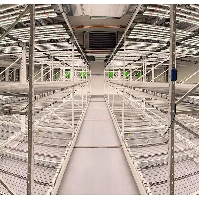 LED Grow Light Hydroponic LED Grow Light Spectrum LED Grow Light Strip