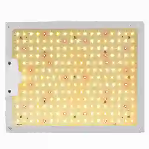 Spot Wholesale Quantum Led Full-Spectrum Sun-Like Plant Growth Lamp Dimmable