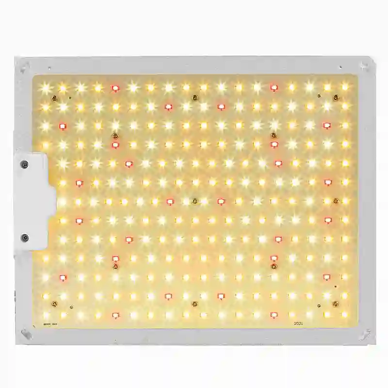 Spot Wholesale Quantum Led Full-Spectrum Sun-Like Plant Growth Lamp Dimmable