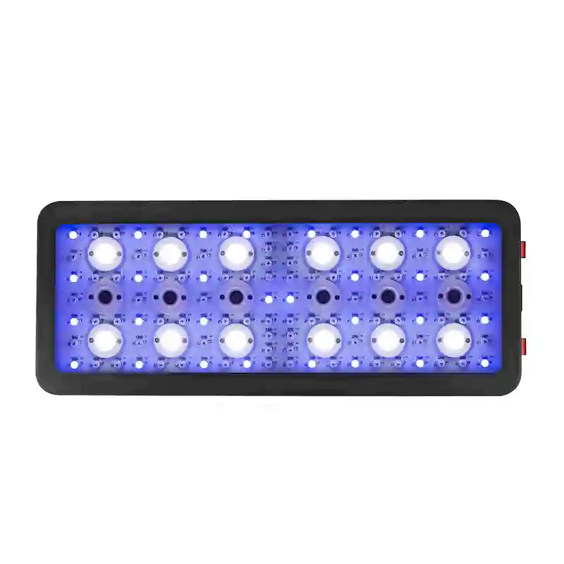 Factory wholesale imitating sunlight photosynthesis plant growth lamp can be dimmed regularly