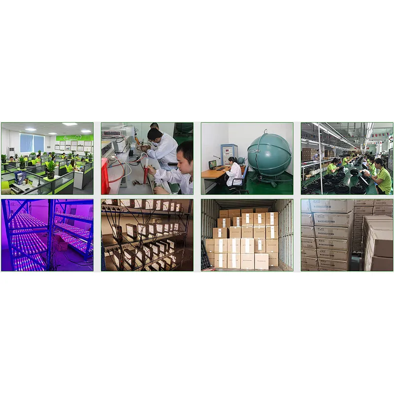 Horticulture 640watt 800watt Samsung LM 561 Chips LED Grow Light Cultivation for Medical Growing