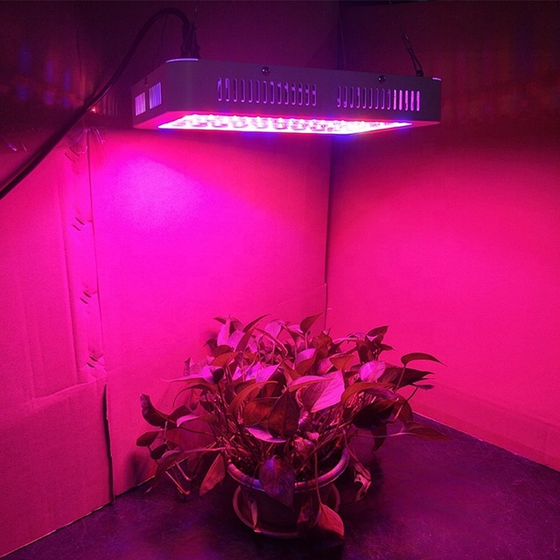 Best Quality Hydroponic Plant Lamp Full Spectrum 1000W LED Grow Light for Indoor Plants