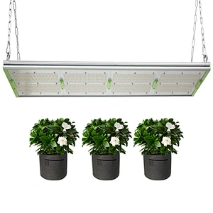 Professional customization Powerful 400w Grow Lights Led Lighting Indoor Luminous Red Blue Body Lamp Belt Beads Power Item