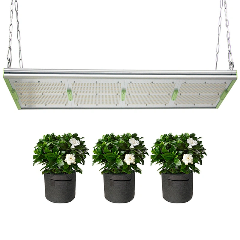 Professional customization Powerful 400w Grow Lights Led Lighting Indoor Luminous Red Blue Body Lamp Belt Beads Power Item