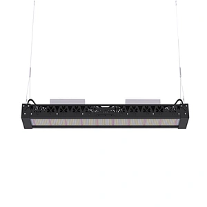 China Best Seller High Quality Hyadroponic Grow Kit Samsung LM561C LM301B LED Grow Lights for Indoor Plants Full Spectrum