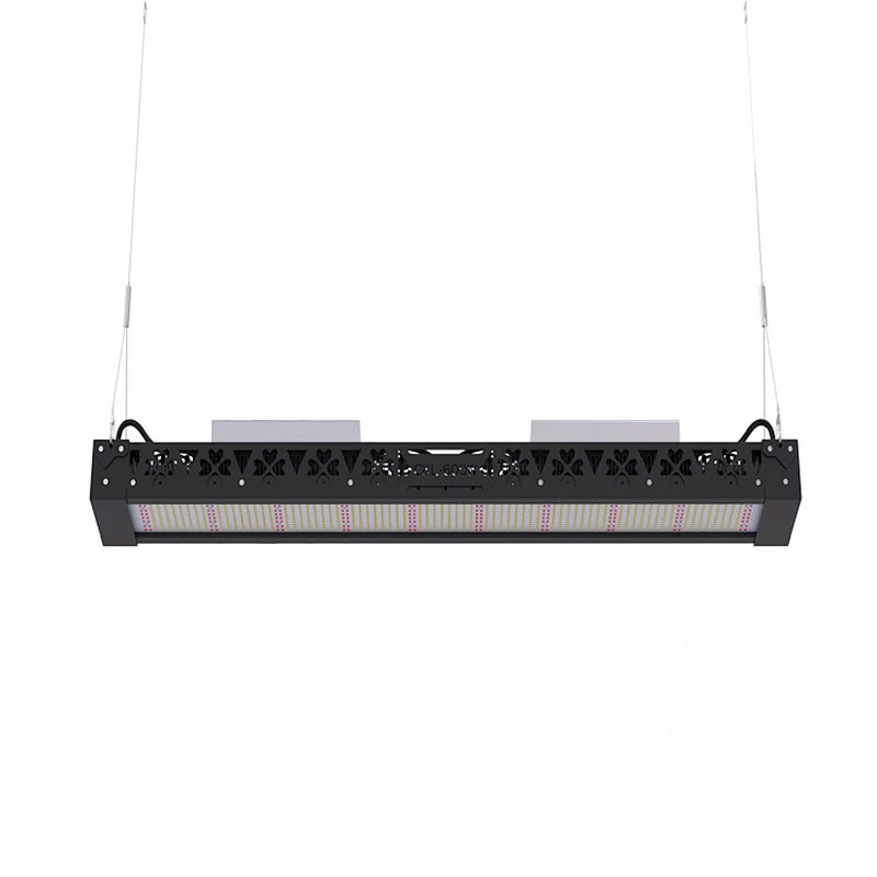 China Best Seller High Quality Hyadroponic Grow Kit Samsung LM561C LM301B LED Grow Lights for Indoor Plants Full Spectrum