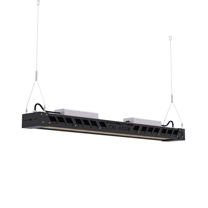 China Best Seller High Quality Hyadroponic Grow Kit Samsung LM561C LM301B LED Grow Lights for Indoor Plants Full Spectrum