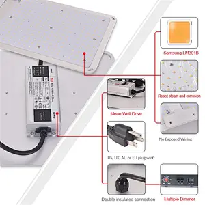 SF-2000 LED Grow Light 2x4 ft Coverage Samsung LM301B MeanWell Driver Dimmable Grow Lights Full Spectrum