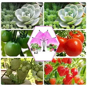 Wholesale full spectrum timer dimmable 40W 27W 4 head Flexible Clip indoor led grow lights