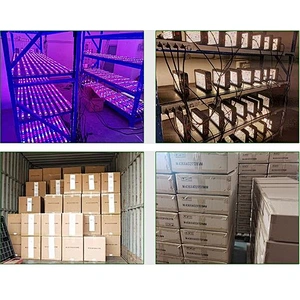 Samsung Partner Newest lm301b Board Full Spectrum 480W 640W Foldable UV LED Grow Light