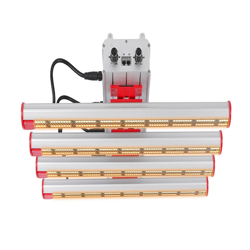 Best China Supplier Samsung LM301 LM561C Vertical Farming LED Grow Light for Indoor Garden