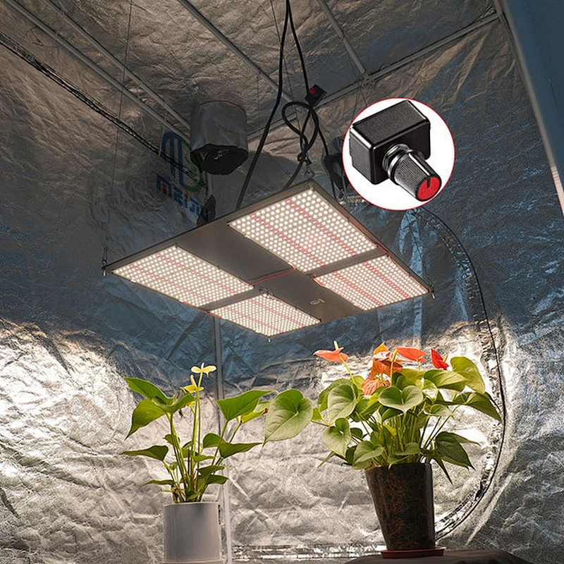 Amazon Top Seller 2021 Meiju 480W FOMEX Board Samsung lm301H 480 660 nm Double Ended Dragon Fruit LED Grow Lights