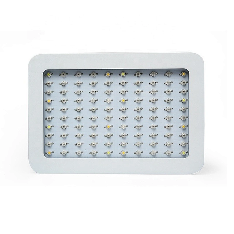 Best Quality Hydroponic Plant Lamp Full Spectrum 1000W LED Grow Light for Indoor Plants