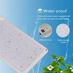 SF-2000 LED Grow Light 2x4 ft Coverage Samsung LM301B MeanWell Driver Dimmable Grow Lights Full Spectrum
