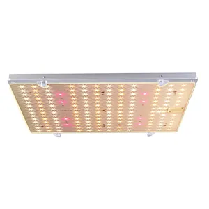 110W 220W 450W 600W Samsung LM301H LED Grow Light DALI Dimmable  LED Grow Light Panel