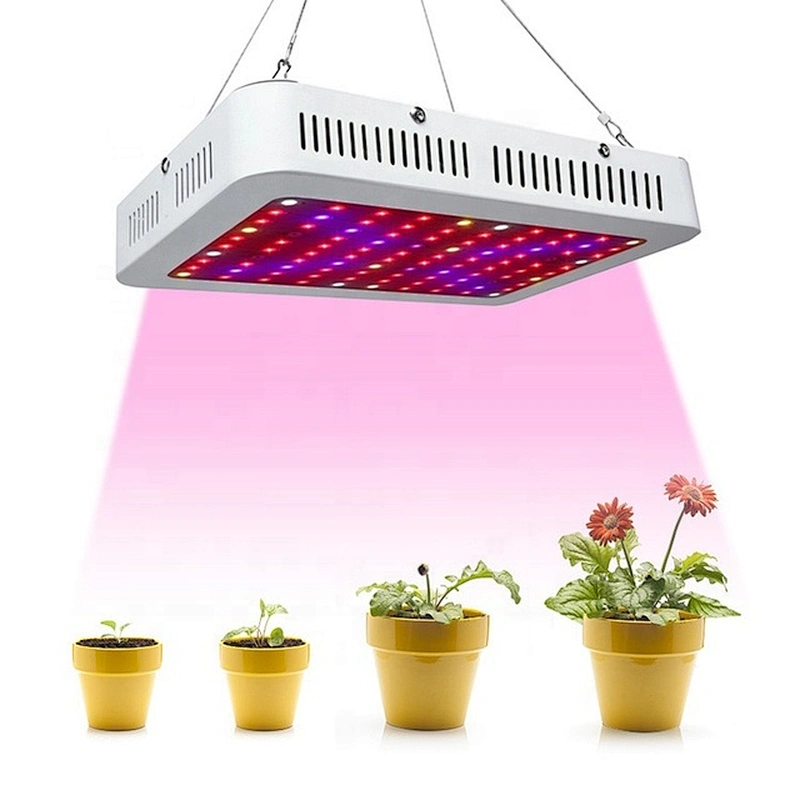 Best Quality Hydroponic Plant Lamp Full Spectrum 1000W LED Grow Light for Indoor Plants