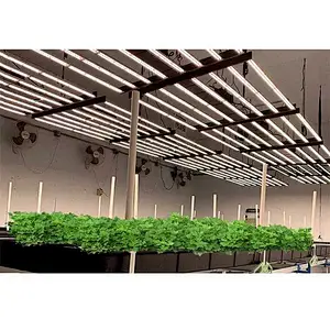 Guangzhou Shenzhen Manufacturer Samsung lm561c lm301b lm301h LED Grow Light Strip 640w 800w Bar 8/10 Commercial Growing