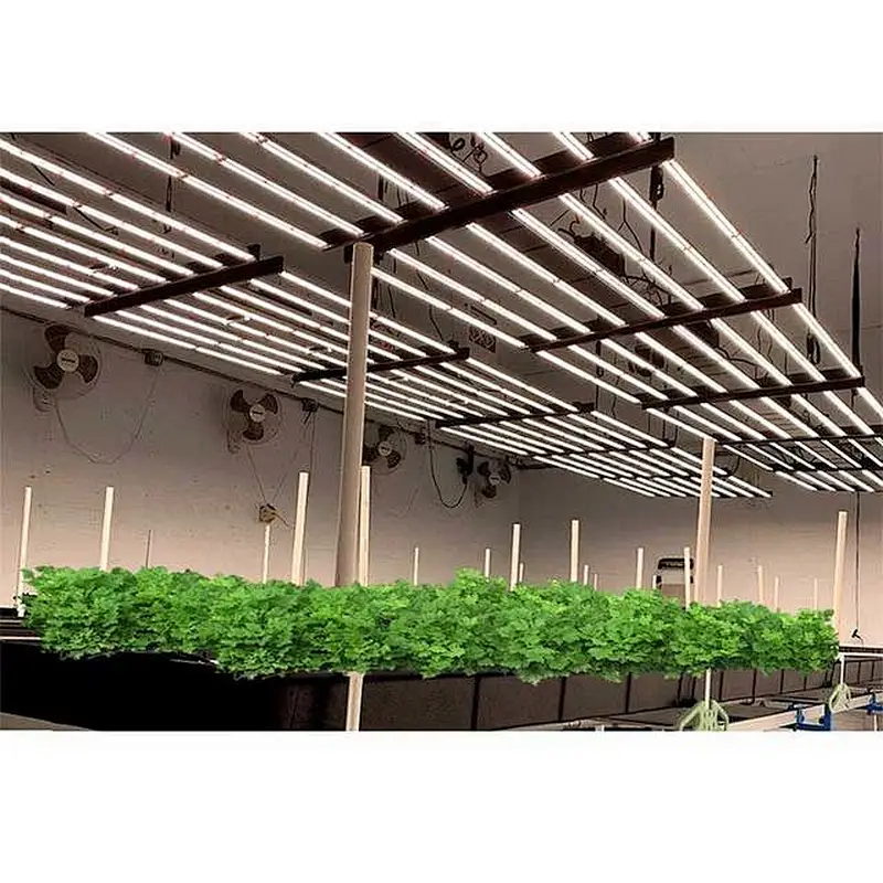 Guangzhou Shenzhen Manufacturer Samsung lm561c lm301b lm301h LED Grow Light Strip 640w 800w Bar 8/10 Commercial Growing