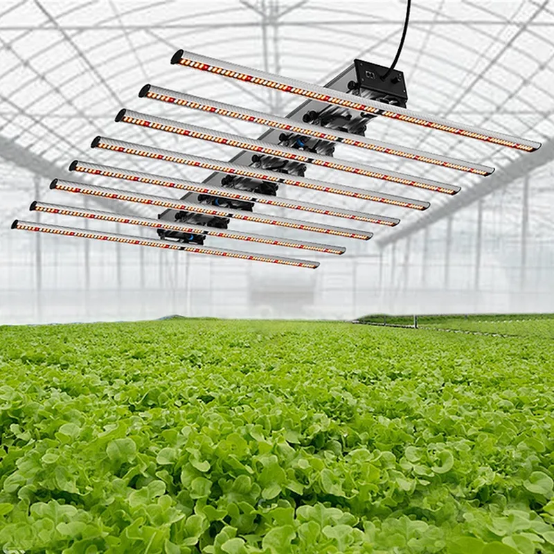 Guangzhou Shenzhen Manufacturer Samsung lm561c lm301b lm301h LED Grow Light Strip 640w 800w Bar 8/10 Commercial Growing