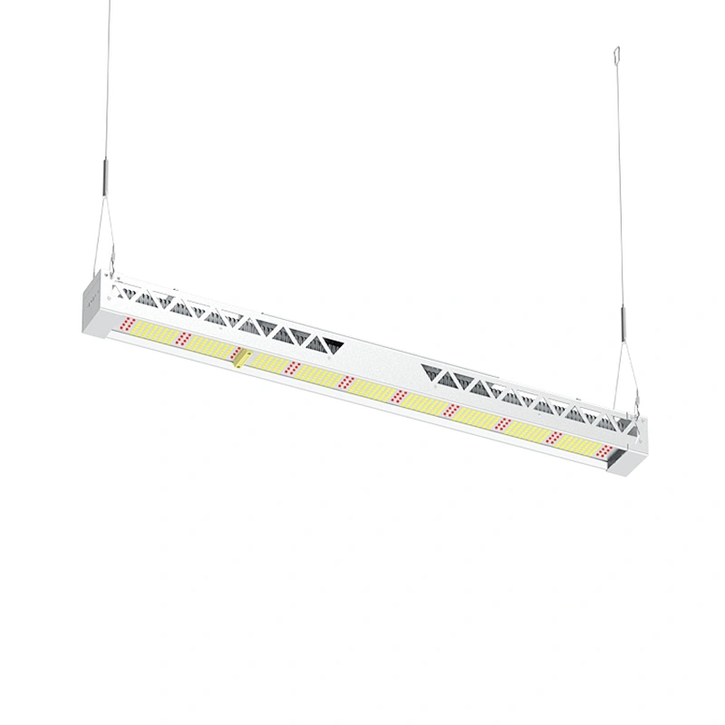 China Best Seller High Quality Hyadroponic Grow Kit Samsung LM561C LM301B LED Grow Lights for Indoor Plants Full Spectrum