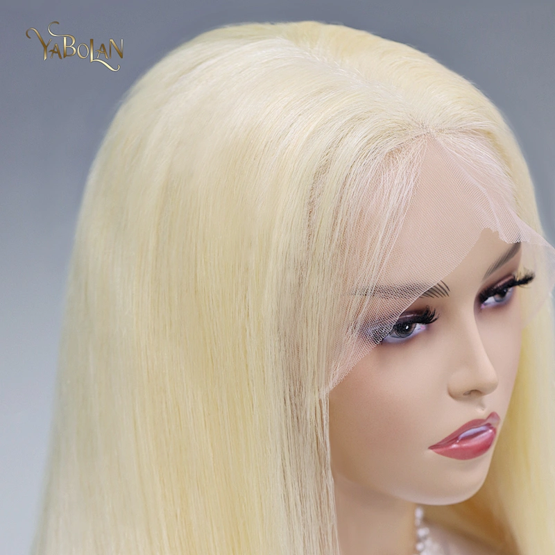 #613 Full Lace Wig Straight