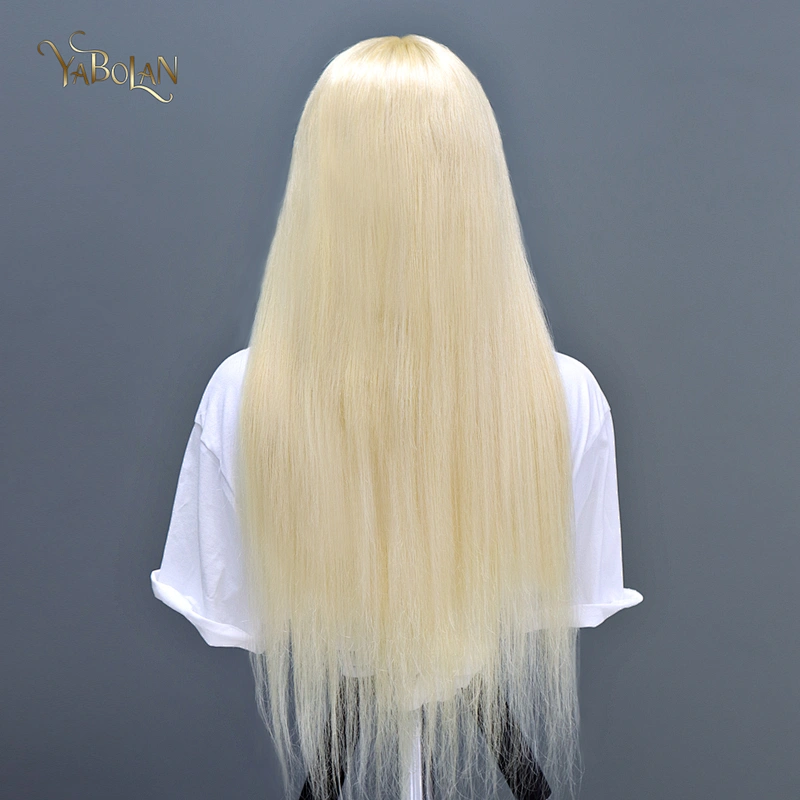 #613 Full Lace Wig Straight