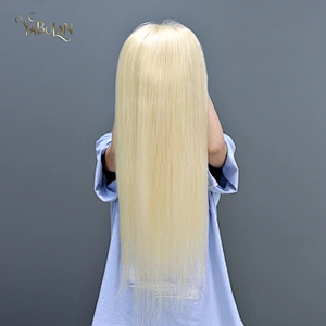 #613 Full Lace Wig Straight