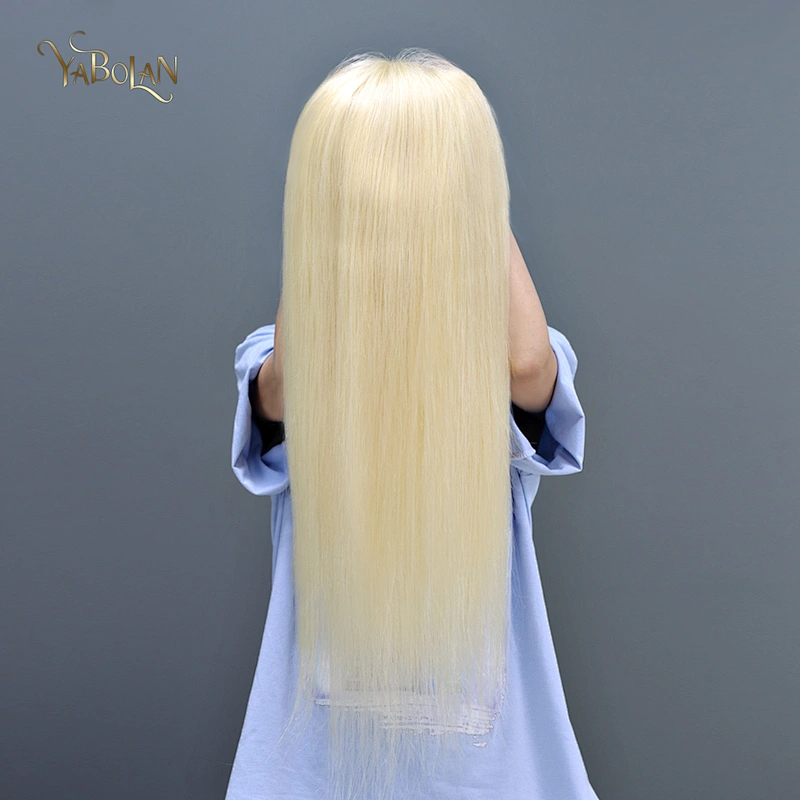 #613 Full Lace Wig Straight