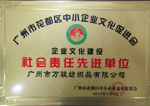 Social responsibility company